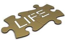 life_puzzle