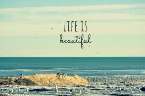 beautiful life